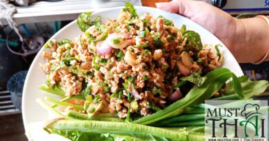 Thai minced pork salad