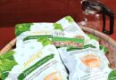 Gymnema tea diabetes treatment